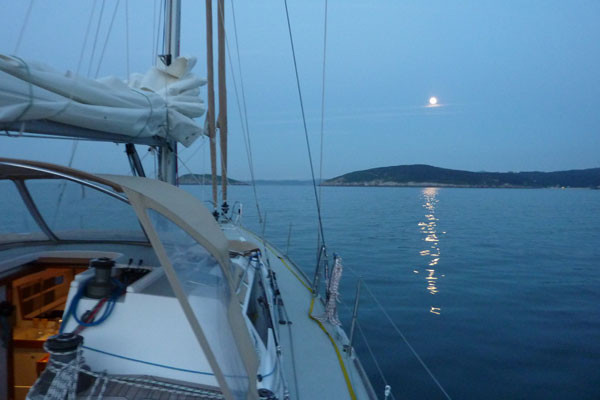 cruising-bird-galice1030706