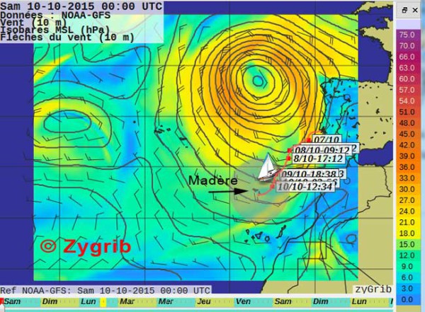 w-zygib-10oct-lisbo-mader